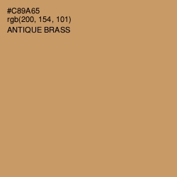 #C89A65 - Antique Brass Color Image